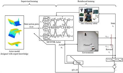 A Supervised-Reinforced Successive Training Framework for a Fuzzy Inference System and Its Application in Robotic Odor Source Searching